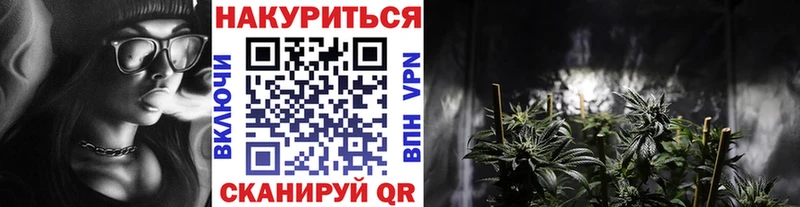 Купить наркотики цена Свободный Амфетамин  Мефедрон  Галлюциногенные грибы  Alpha PVP  ГАШ 