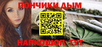 индика Новодвинск