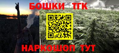 индика Новодвинск