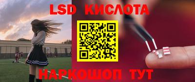 индика Новодвинск