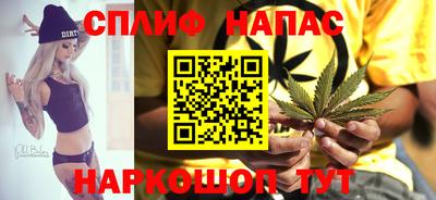 индика Новодвинск