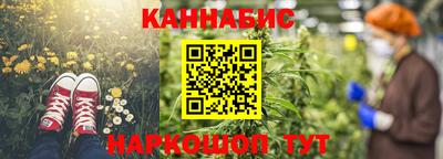 индика Новодвинск