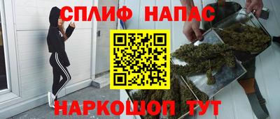 индика Новодвинск