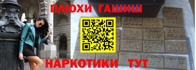 индика Новодвинск