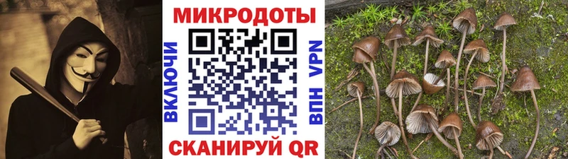 Галлюциногенные грибы прущие грибы Свободный