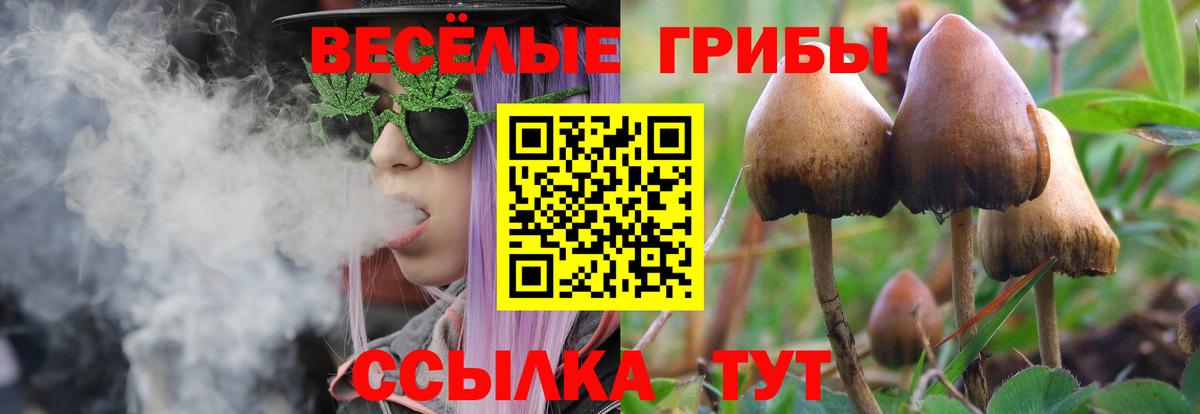 Галлюциногенные грибы прущие грибы  Вход с VPN  Свободный  Галлюциногенные грибы мицелий 